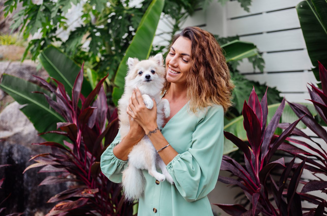 PELZ Derma Clinic Skincare y Mascotas Perros Gatos